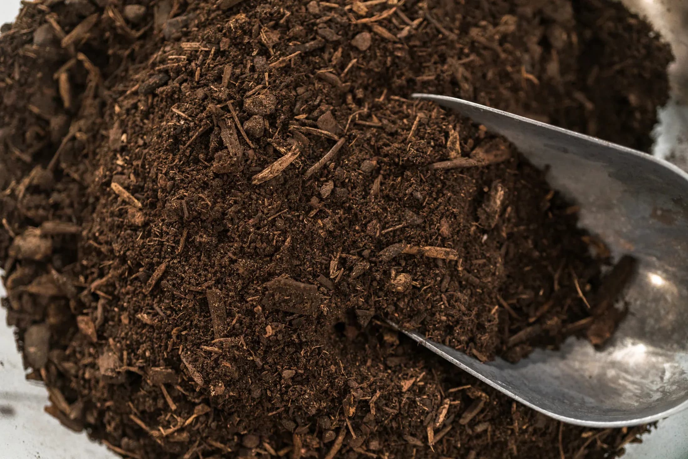 Foto editorial de Micorrizas Activa Terra Symbiosis 500 g